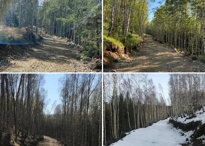 Gorskie Formy - Drewniany Dom W Gorach Z Balia